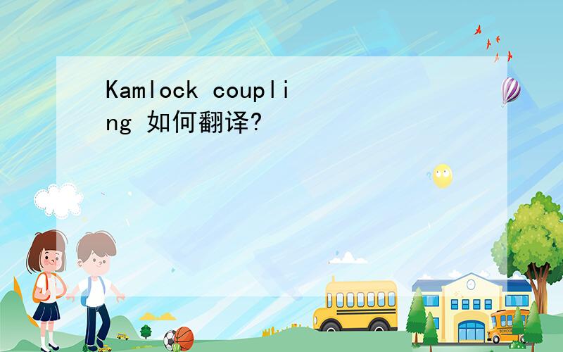 Kamlock coupling 如何翻译?