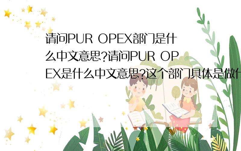 请问PUR OPEX部门是什么中文意思?请问PUR OPEX是什么中文意思?这个部门具体是做什么工作的?