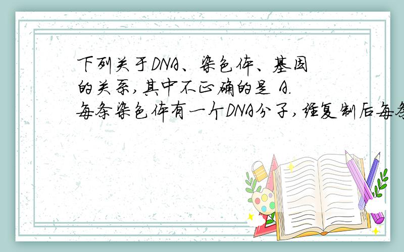 下列关于DNA、染色体、基因的关系,其中不正确的是 A.每条染色体有一个DNA分子,经复制后每条染色单体上下列关于DNA、染色体、基因的关系,其中不正确的是A.每条染色体有一个DNA分子,经复制