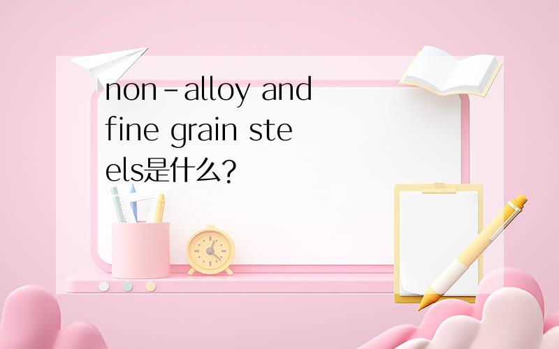 non-alloy and fine grain steels是什么?