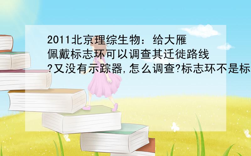 2011北京理综生物：给大雁佩戴标志环可以调查其迁徙路线?又没有示踪器,怎么调查?标志环不是标志重补法的吗?