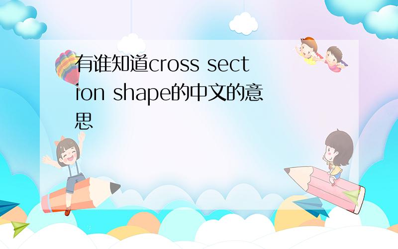 有谁知道cross section shape的中文的意思