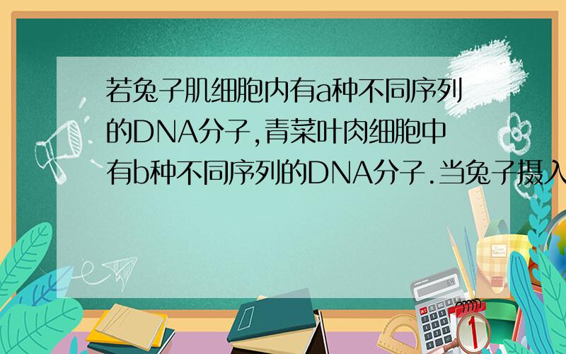 若兔子肌细胞内有a种不同序列的DNA分子,青菜叶肉细胞中有b种不同序列的DNA分子.当兔子摄入大量青菜后,兔子的某个肌细胞含有多少种不同序列的DNA分子A.a＋b B.大于a且小于a+b C.a D.小于a